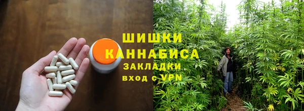 PSILOCYBIN Вяземский